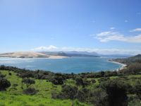 Hokianga-Bucht