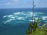 Tasmansee trifft auf Pazifik