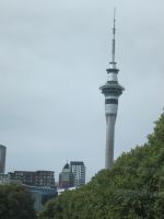 Skytower in Auckland