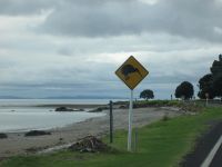 Coromandel Westküste