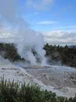 Te Puia: Geysire