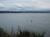 Lake Taupo
