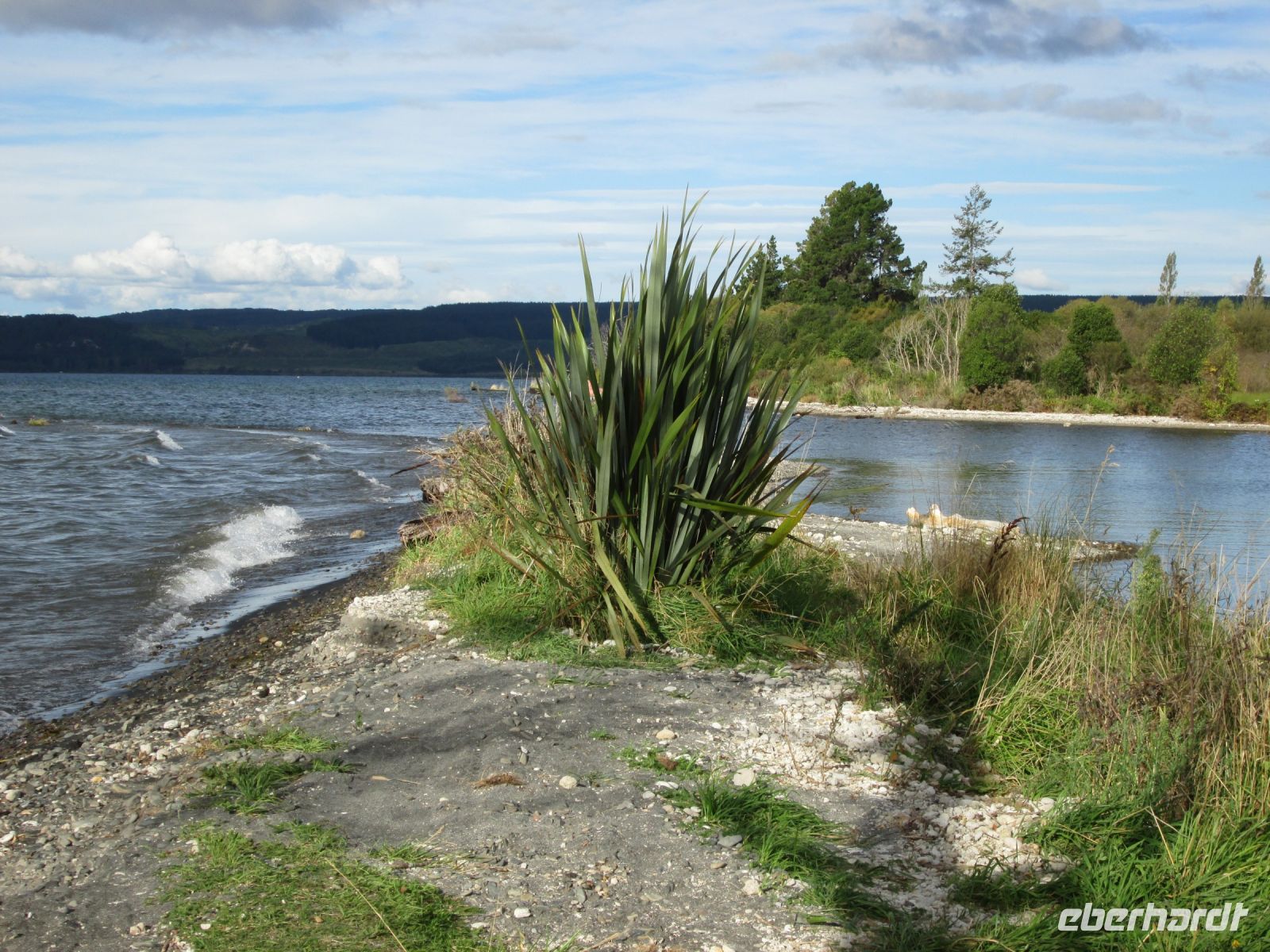 Lake Taupo