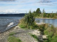 Lake Taupo
