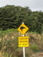 sie sind besonders zu schützen