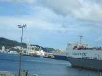 Hafen Wellington