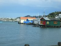 Wellington: Oriental Parade