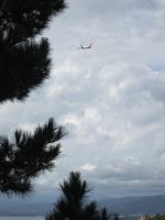 die Quantas fliegt nach Australien