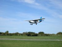 Walbeobachtung per Flugzeug