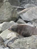 ...ich bin noch müde