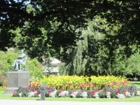 Christchurch: Hagley Park