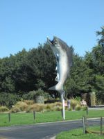Lachsdenkmal am Rakaia River