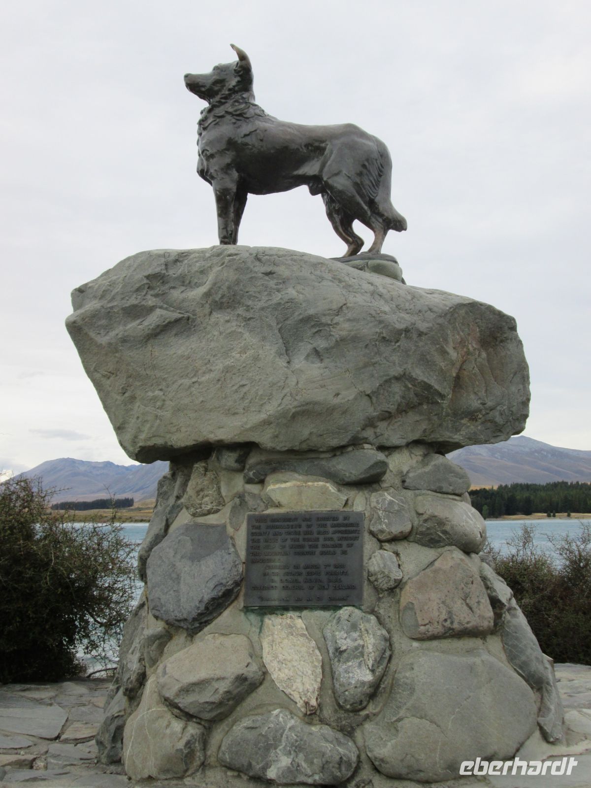 Hirtenhund Denkmal in Tekapo
