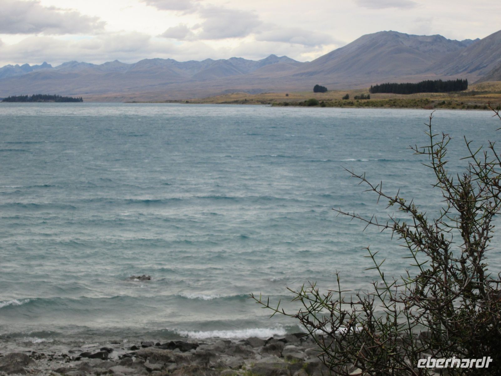 Tekapo See