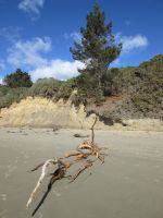 Moeraki Strand