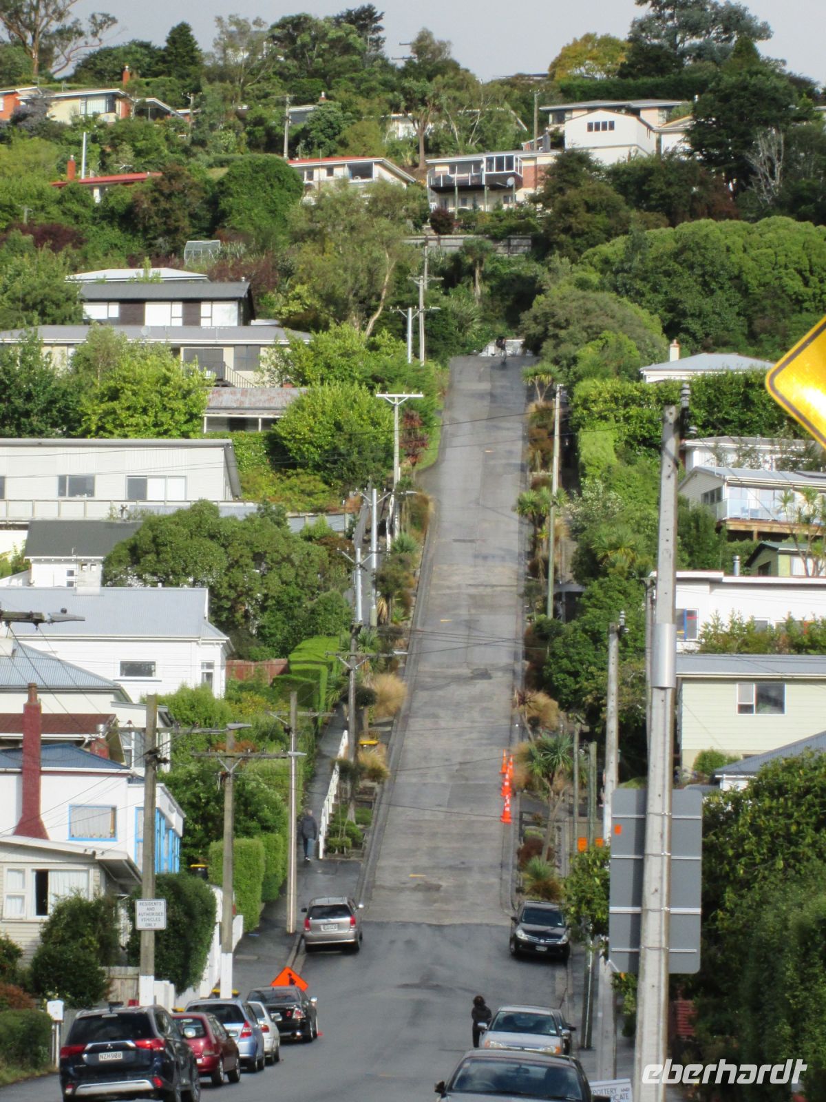 Dunedin. Baldwin Street: mit 35 % die steilste Straße der Welt