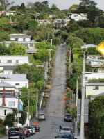 Dunedin. Baldwin Street: mit 35 % die steilste Straße der Welt