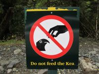 Schilder verweisen auf Keas, nur sahen wir leider keine