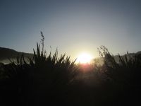 Sonnenaufgang in Fox