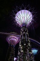 Tag 2 - Singapur - Gardens by the Bay Supertrees (1)