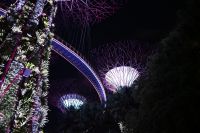 Tag 2 - Singapur - Gardens by the Bay Supertrees (2)