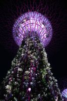 Tag 2 - Singapur - Gardens by the Bay Supertrees (3)