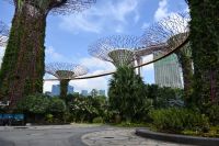 Tag 3 - Singapur - Gardens by the Bay - Supertrees (2)