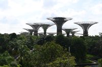 Tag 3 - Singapur - Gardens by the Bay (1)