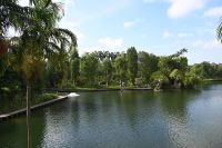 Tag 3 - Singapur - Gardens by the Bay (4)