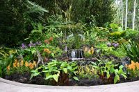 Tag 3 - Singapur - Orchideen Garten (2)