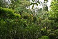 Tag 3 - Singapur - Orchideen Garten (4)