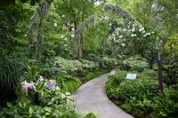 Tag 3 - Singapur - Orchideen Garten (5)