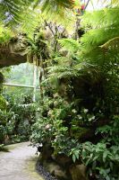 Tag 3 - Singapur - Orchideen Garten (12)