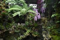 Tag 3 - Singapur - Orchideen Garten (13)