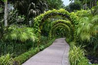 Tag 3 - Singapur - Orchideen Garten (14)