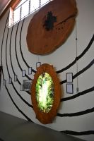 Tag 5 - Neuseeland - Kauri Museum (5)