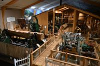 Tag 5 - Neuseeland - Kauri Museum (7)