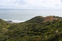 Tag 5 - Neuseeland - Signal Station Track Scenic Lookout (1)