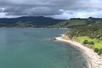 Tag 5 - Neuseeland - Signal Station Track Scenic Lookout (2)