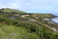 Tag 5 - Neuseeland - Signal Station Track Scenic Lookout (4)