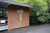 Tag 5 - Neuseeland - Waipoua Forest (6)