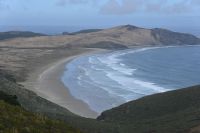 Tag 6 - Neuseeland - Northland - Cape Reinga (2)