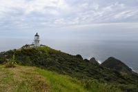 Tag 6 - Neuseeland - Northland - Cape Reinga (5)