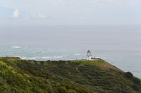 Tag 6 - Neuseeland - Northland - Cape Reinga (7)