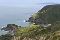 Tag 6 - Neuseeland - Northland - Cape Reinga (8)