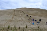 Tag 6 - Neuseeland - Northland - Dünensurfen