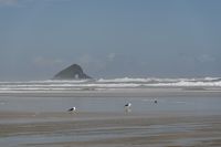 Tag 6 - Neuseeland - Northland - Ninety Miles Beach (1)