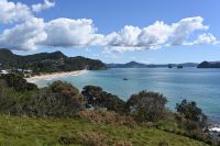 Tag 8 - Neuseeland - Coromandel-Halbinsel - Hahei (1)