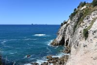 Tag 8 - Neuseeland - Coromandel-Halbinsel - Hahei (2)