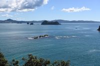 Tag 8 - Neuseeland - Coromandel-Halbinsel - Hahei (3)